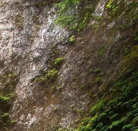 湖州关于粉象生活在线咨询