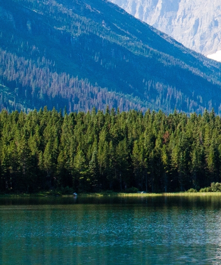 粉象生活邀请码