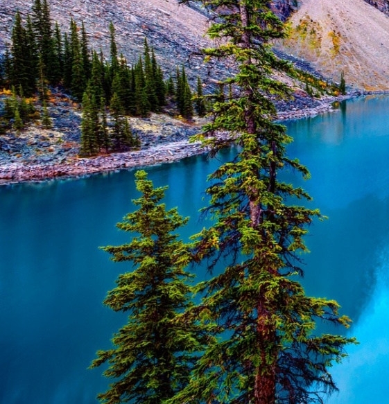 梅州粉象生活图片