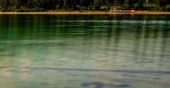 粉象生活下载app