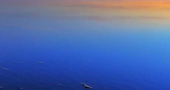 粉象生活怎么去推广