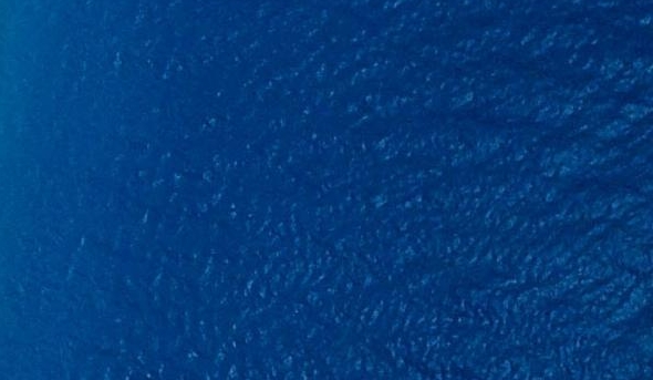 粉象生活邀请码填哪个好