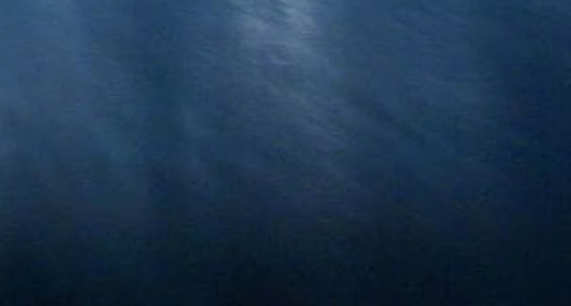 粉象生活真的可以赚钱吗