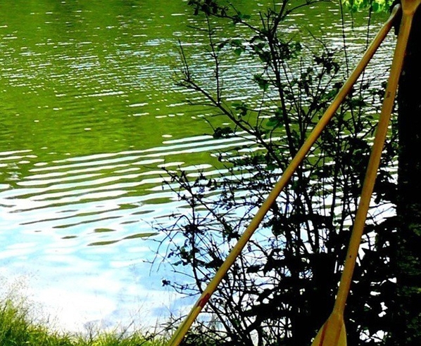 粉象生活0元购如何退单