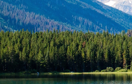 粉象生活怎么收听