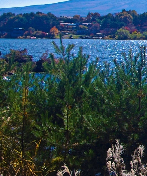 粉象生活怎样砍价