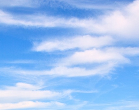 粉象生活邀请码在哪里填写