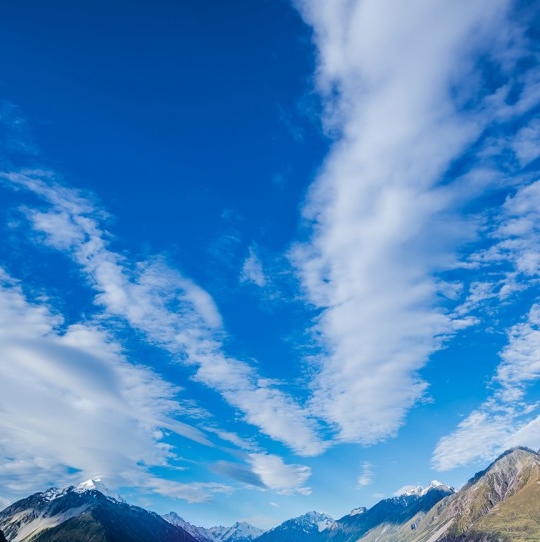 粉象生活普通话会员有推广权吗?