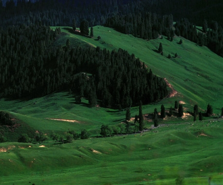 粉象生活是东西好不好