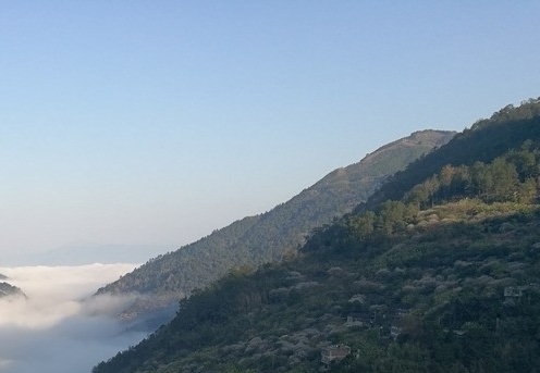 粉象生活是什么?