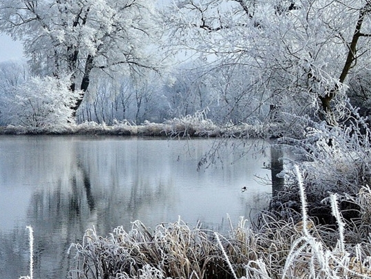 扬州粉象生活佣金