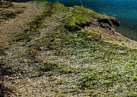 粉象生活邀请码官方团队