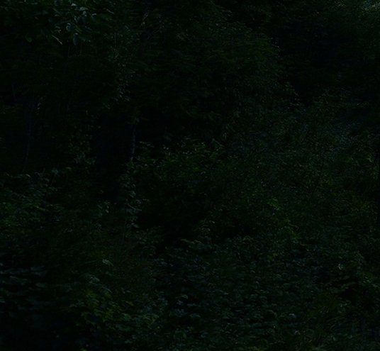 粉象生活赚钱教程