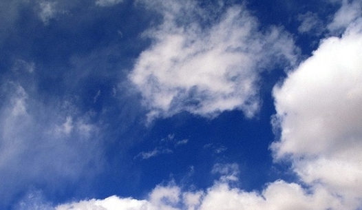 粉象生活付费多少