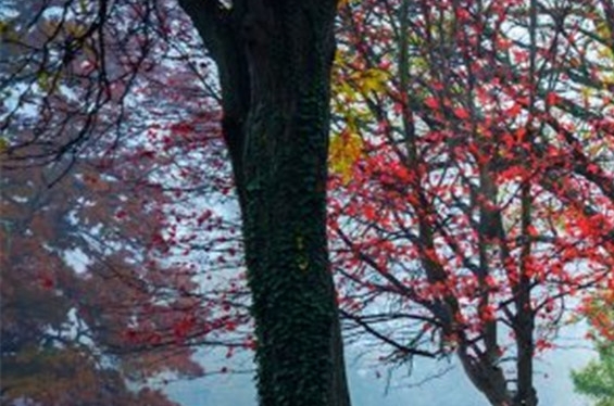 粉象生活下载app