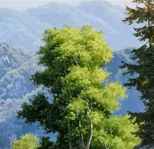 粉象生活交流互动