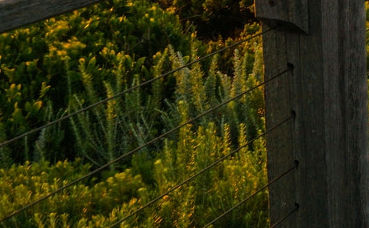 生活系修仙大佬