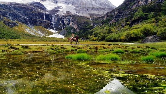 粉象生活怎么赚钱的