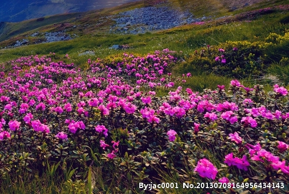 粉象生活绑定账号