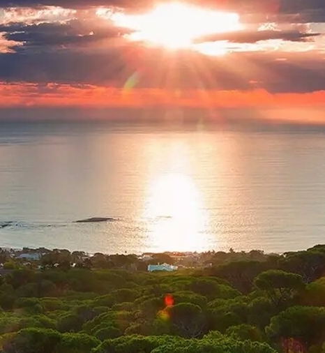 粉象生活是真的假的