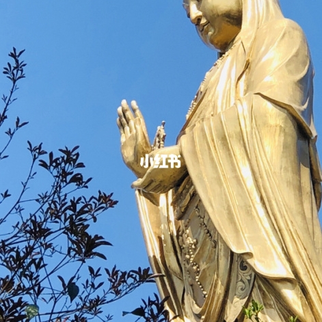 粉象生活里面申请信用卡