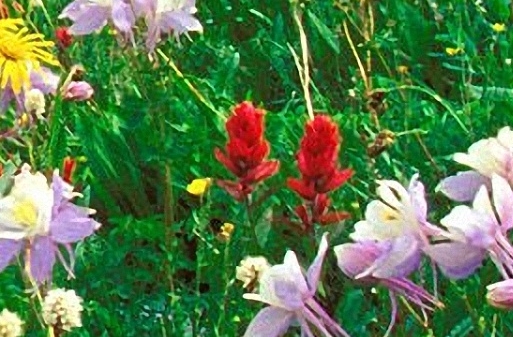 粉象生活赚钱教程