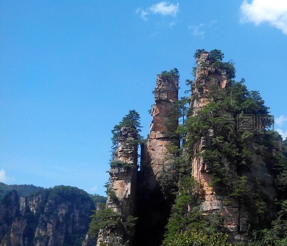 粉象月入几万是真的吗