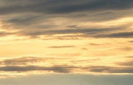 粉象生活下载app