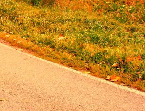 粉象生活是正规产品吗