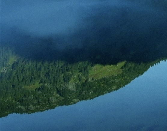 粉象生活可以赚钱吗