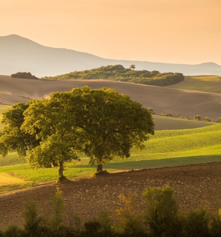 粉象生活有哪些好的平台