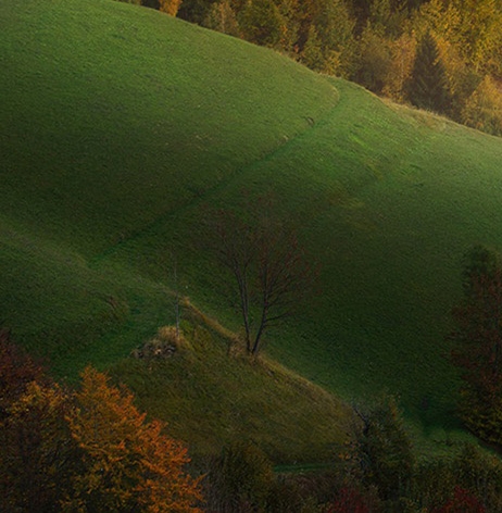 粉象生活可以赚钱吗