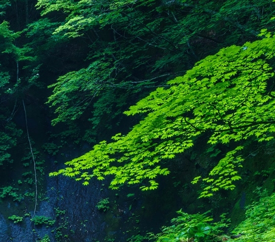 粉象生活 - 资讯搜索