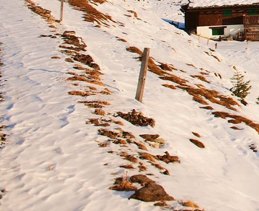 粉象生活一天几百是真是假