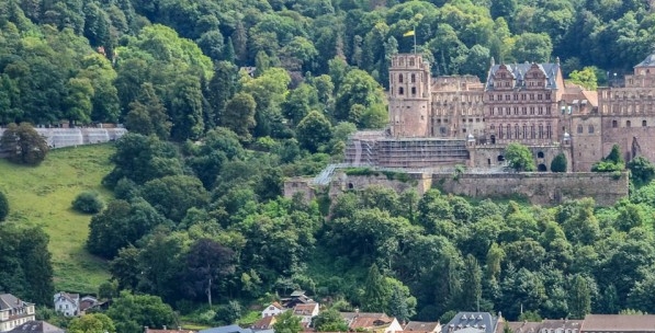 粉象生活怎么赚钱的