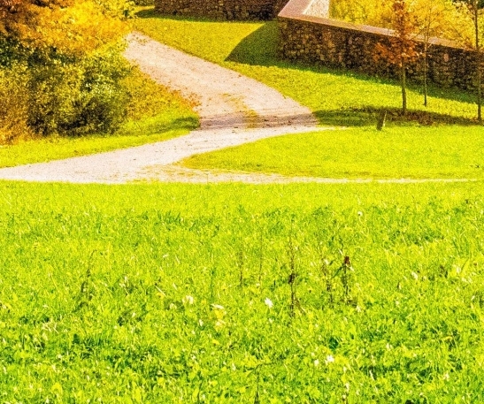 粉象生活怎么推广