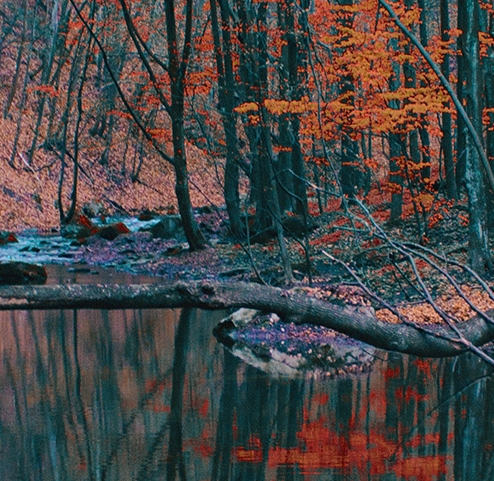 粉象生活朋友圈文案