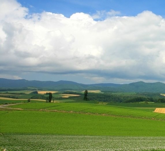 粉象生活下载app