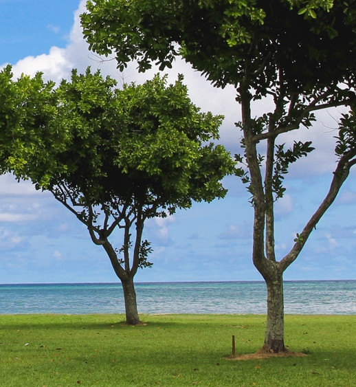 下载粉象生活能赚钱吗