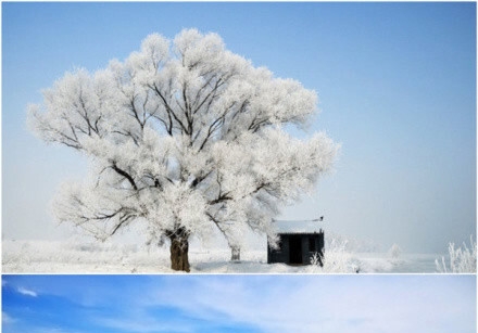 粉象生活一天几百是真是假