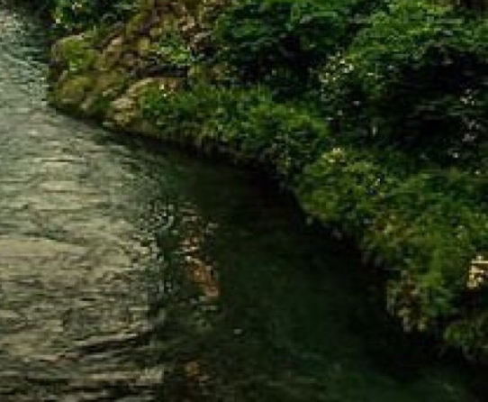 粉象生活收徒弟