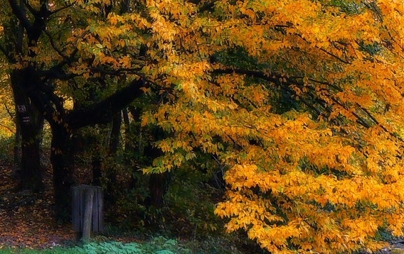 嘉兴粉象生活邀请码