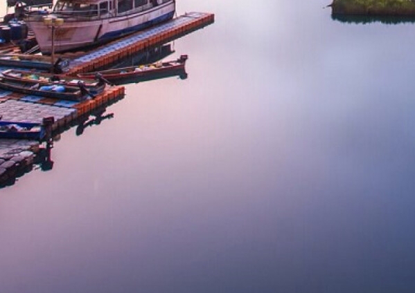 粉象生活必须要买会员吗