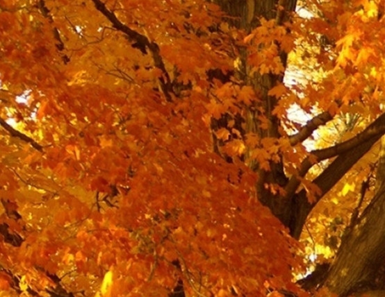 粉象生活邀请人怎么看