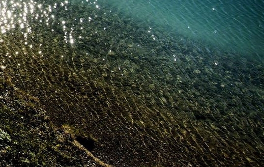 双鱼男幻想着和你生活 说明什么