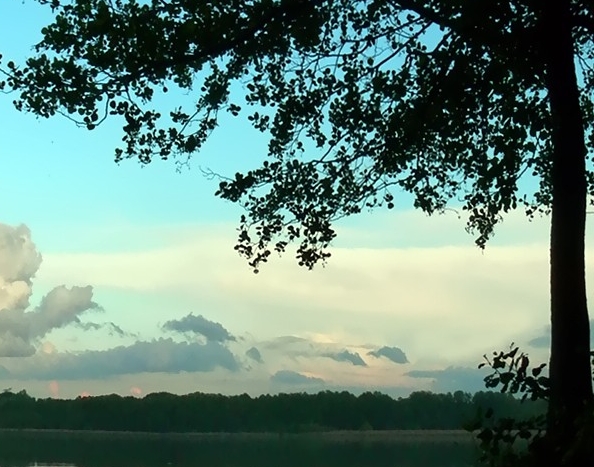 南通粉象生活图片粉象生活