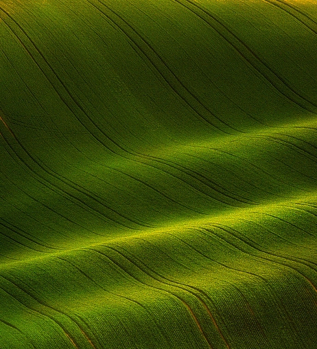 双十一怎么使用粉象生活