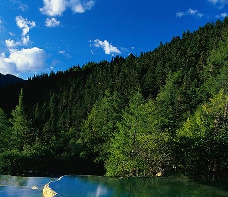 粉象生活有加油优惠吗