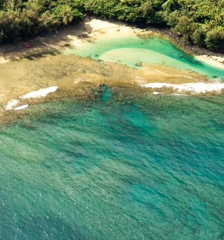 粉象生活邀请码