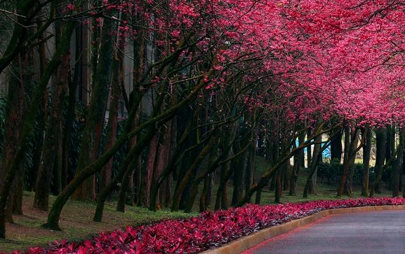 淘宝店家保证金